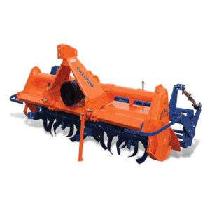 FR1