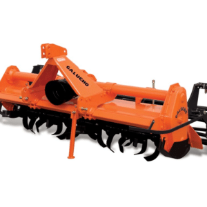FR1