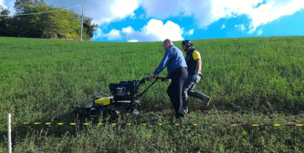 HMC 110 SWING - Image 2